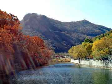 新澳天天开奖资料大全旅游团，免费完结的穿越小说